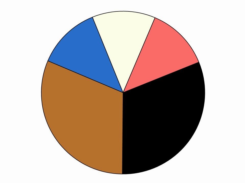 wardrobe color scheme with caramel and black neutrals and blue and coral accent colors
