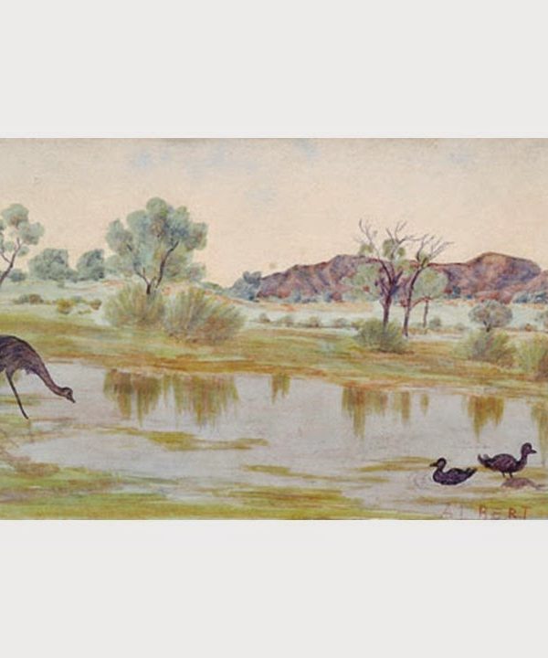 Wildlife near the Gosse Range – Albert Namatjira