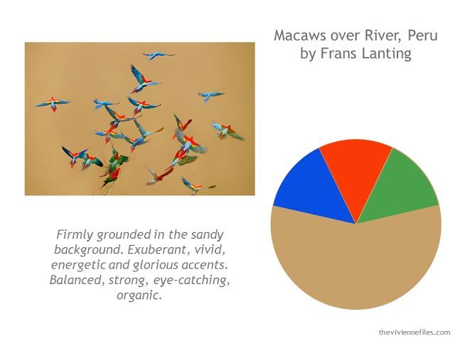 Building a Capsule Wardrobe by Starting with Art: Macaws over River, Peru by Frans Lanting