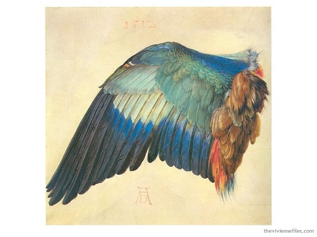 Wing of a European Roller by Albrecht Durer