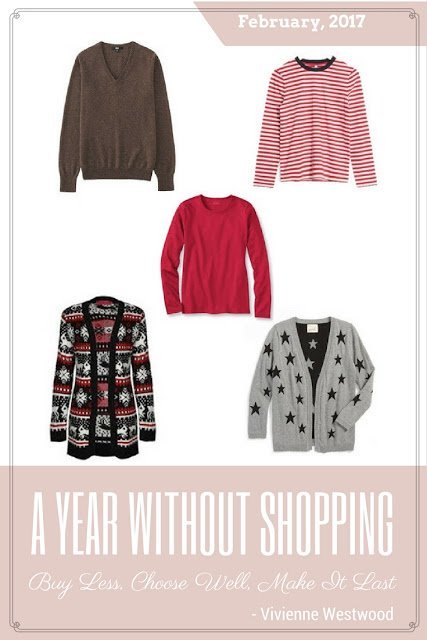 A Year Without Shopping - February's Goals