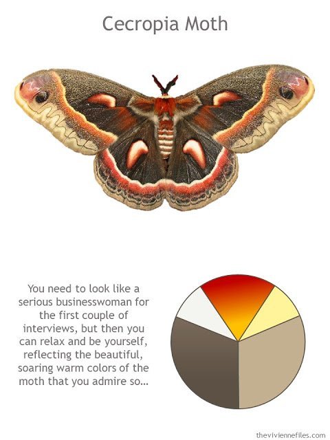 Cecropia moth with style guidelines and color palette
