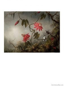 1. Passion Flower with Hummingbirds by Heade