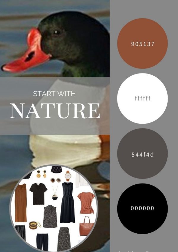 START WITH NATURE_ REVISITING THE COMMON SHELDUCK BY DENNIS A. JONES