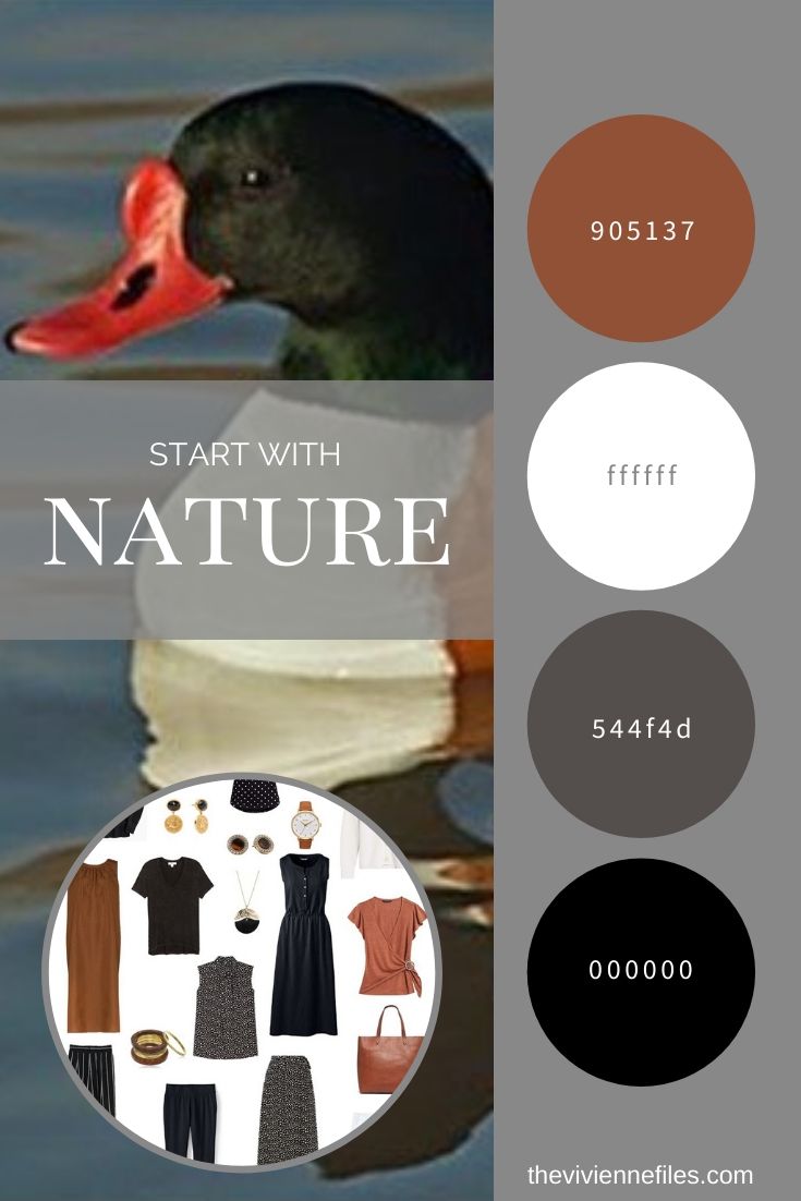 START WITH NATURE_ REVISITING THE COMMON SHELDUCK BY DENNIS A. JONES