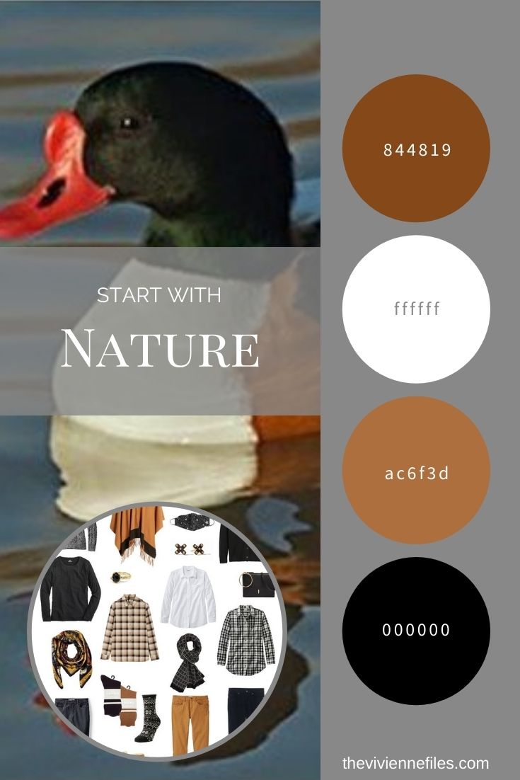 START WITH NATURE: BUILDING A TRAVEL CAPSULE WARDROBE BASED ON THE COMMON SHELDUCK BY DENNIS A. JONES