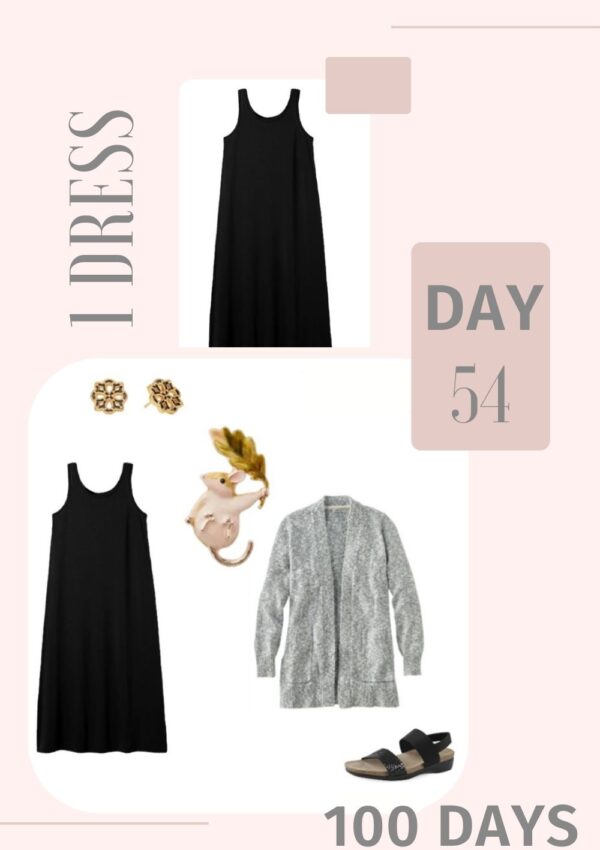 1 Dress 100 Days - Day 54