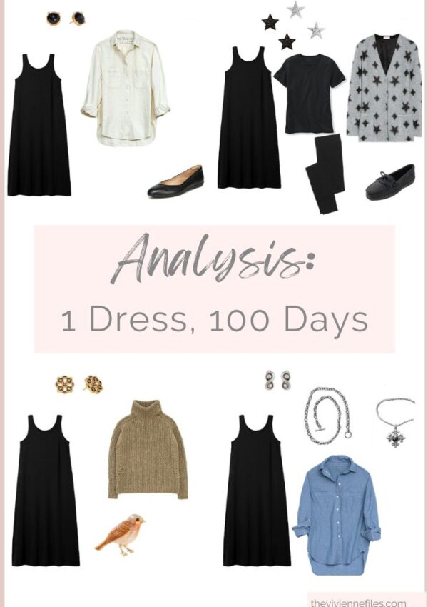 Analysis 1 Dress, 100 Days
