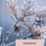 Japanese 24 Seasons of the Year - Daikan - Major Cold