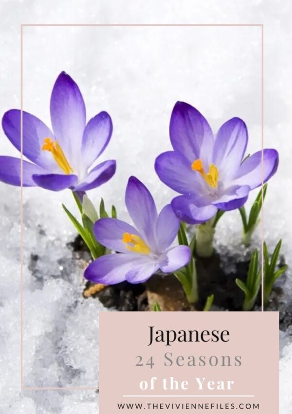 Japanese 24 Seasons of the Year – Risshun - Beginning of Spring