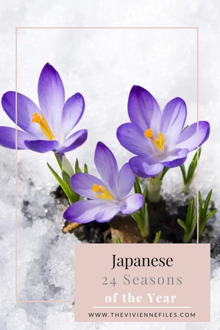 Japanese 24 Seasons of the Year – Risshun - Beginning of Spring