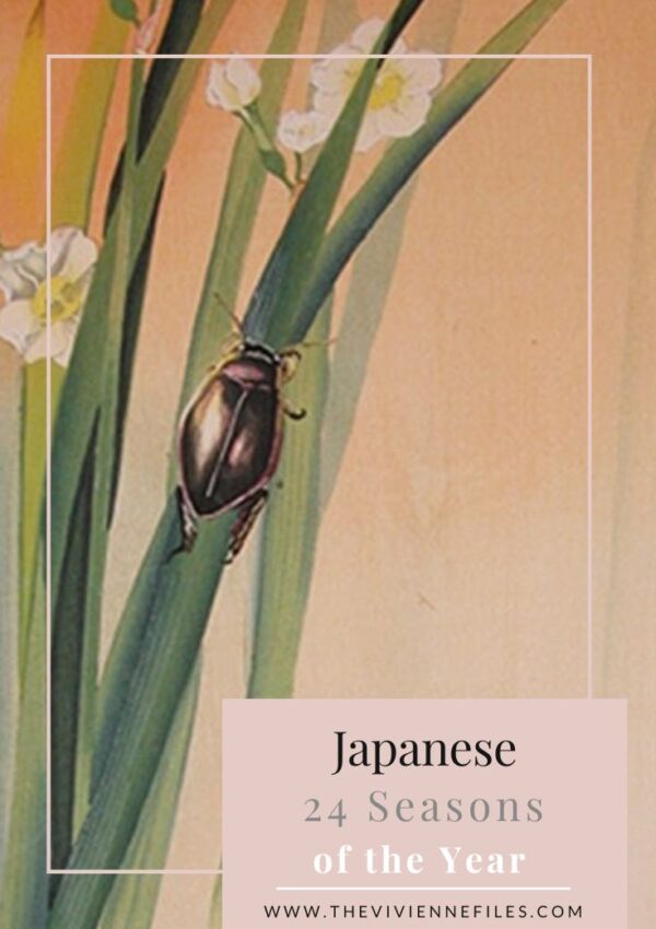 Japanese 24 Seasons of the Year – Keichitsu - Awakening of Hibernating Insects