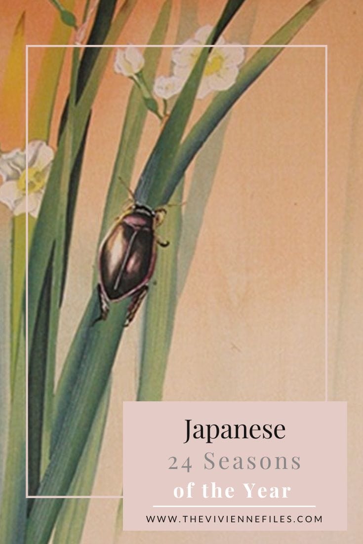 Japanese 24 Seasons of the Year – Keichitsu - Awakening of Hibernating Insects