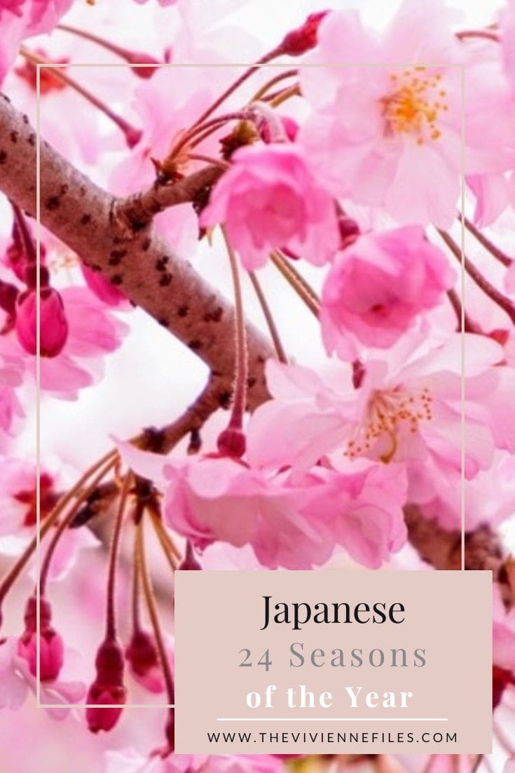 Japanese 24 Seasons of the Year – Shunbun – Vernal Equinox