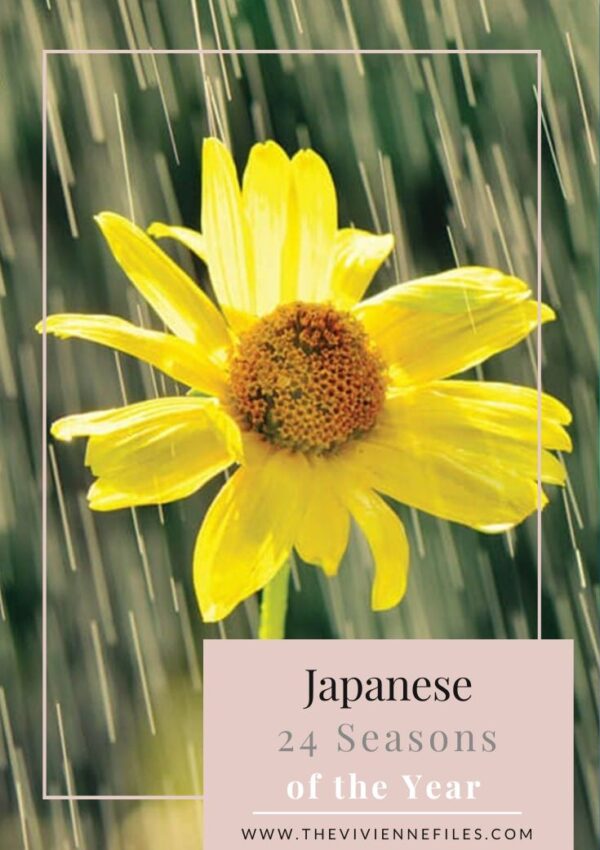 Year 2! Japanese 24 Seasons of the Year – Kokuu – Grain Rain