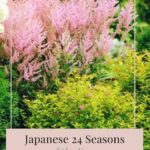 YEAR 2 – JAPANESE 24 SEASONS OF THE YEAR – Grain Full