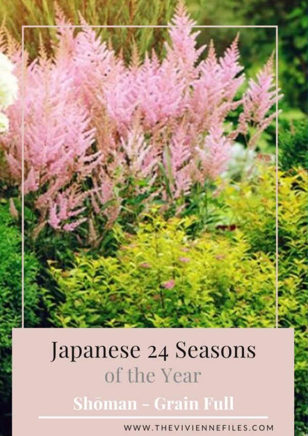 YEAR 2 – JAPANESE 24 SEASONS OF THE YEAR – Grain Full