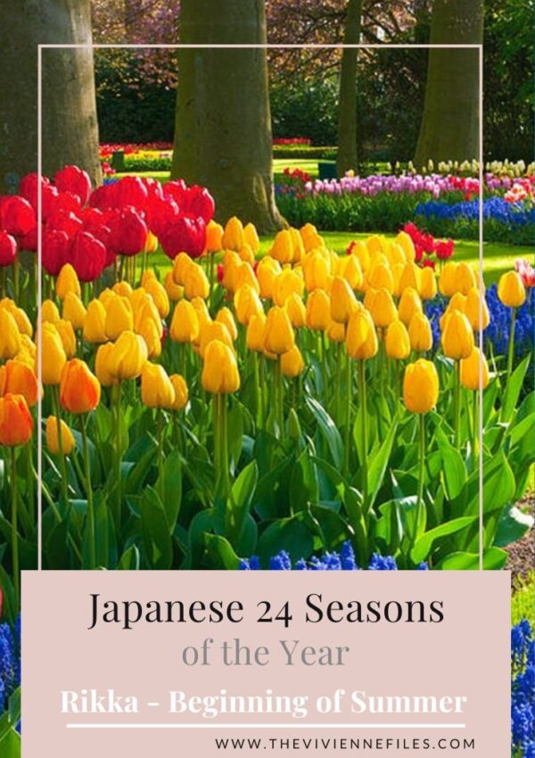 YEAR 2 – JAPANESE 24 SEASONS OF THE YEAR – RIKKA – BEGINNING OF SUMMER