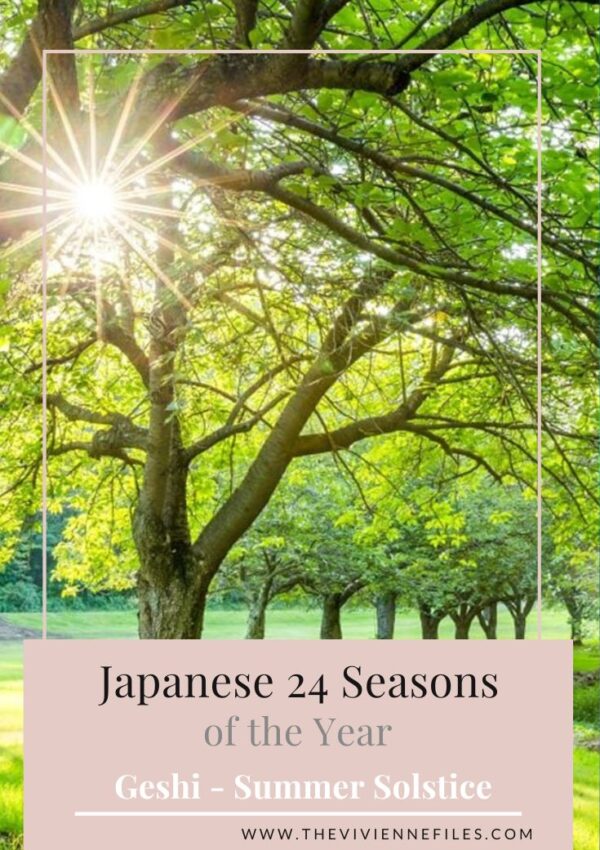 Year 2 – Japanese 24 Seasons of the Year – Geshi - Summer Solstice