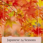 Autumn Outfit Ideas Japanese Season Shūbun - Autumn Equinox