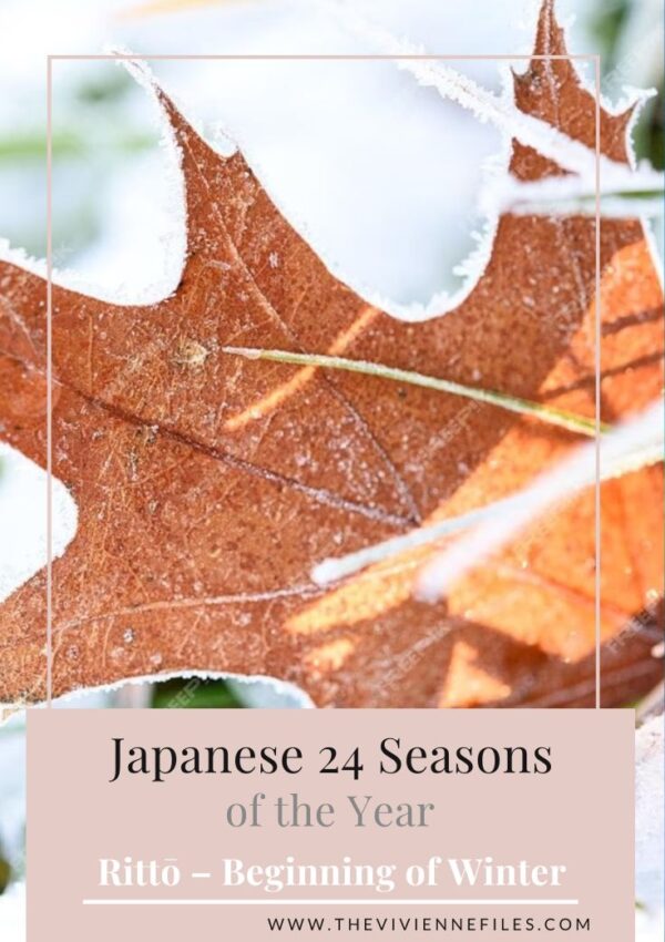 Winter Coats! Japanese 24 Seasons Rittō – Beginning of Winter