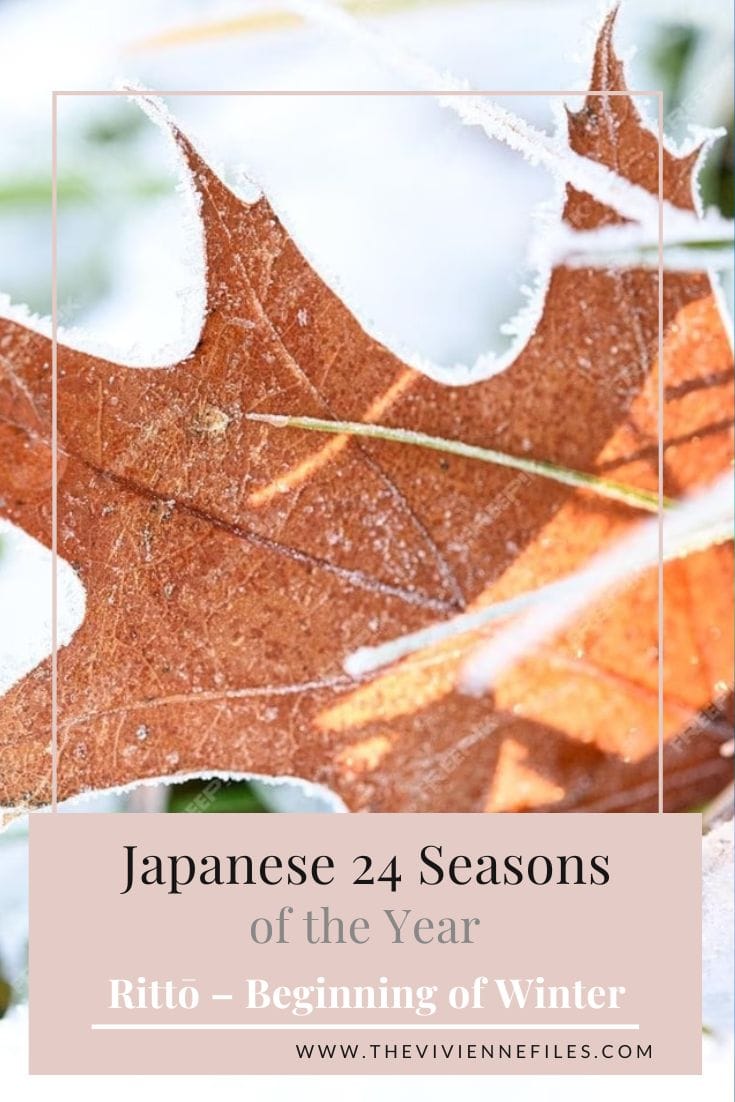 Winter Coats! Japanese 24 Seasons Rittō – Beginning of Winter