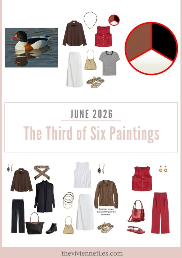 June 2026 – Building a Wardrobe Starting With Common Shelduck by Dennis A. Jones