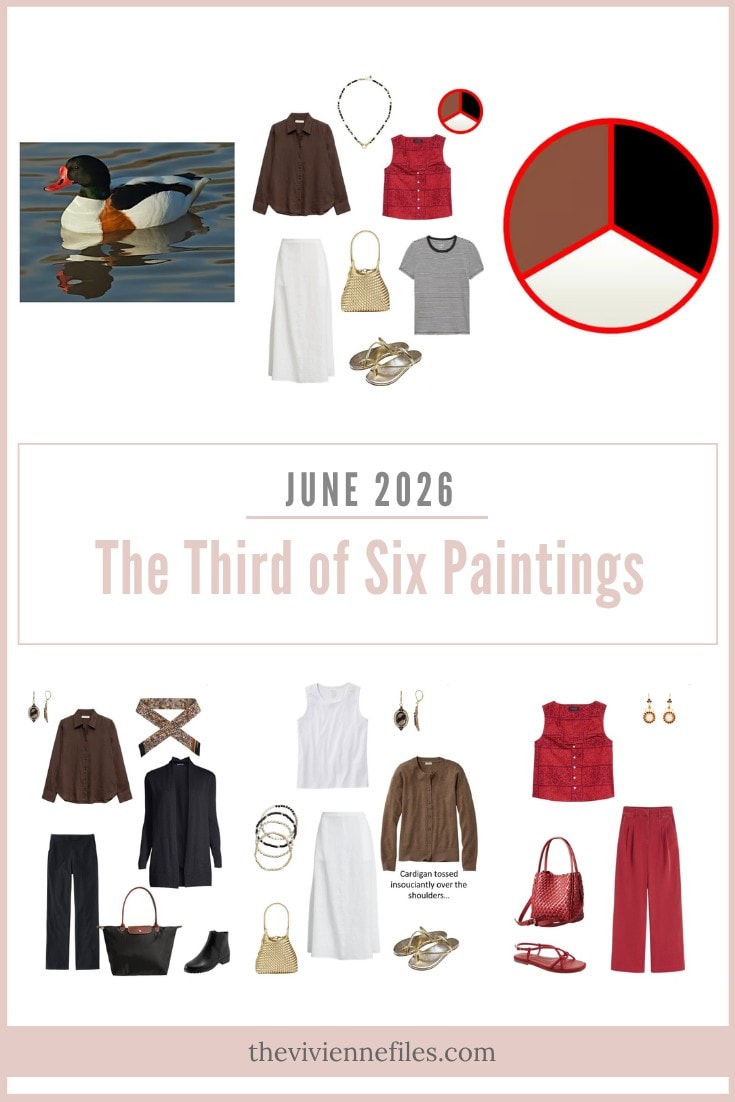 June 2026 – Building a Wardrobe Starting With Common Shelduck by Dennis A. Jones